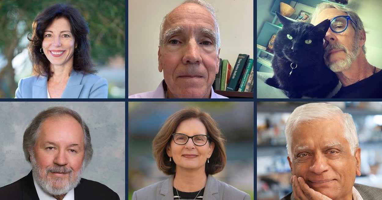 Collage of six UC San Diego faculty headshots