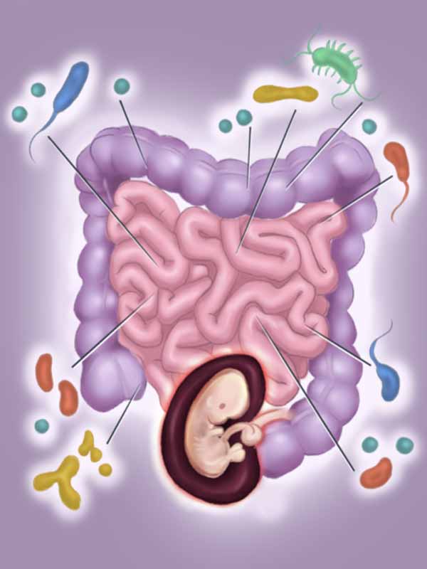 Microbiome Axis cartoon