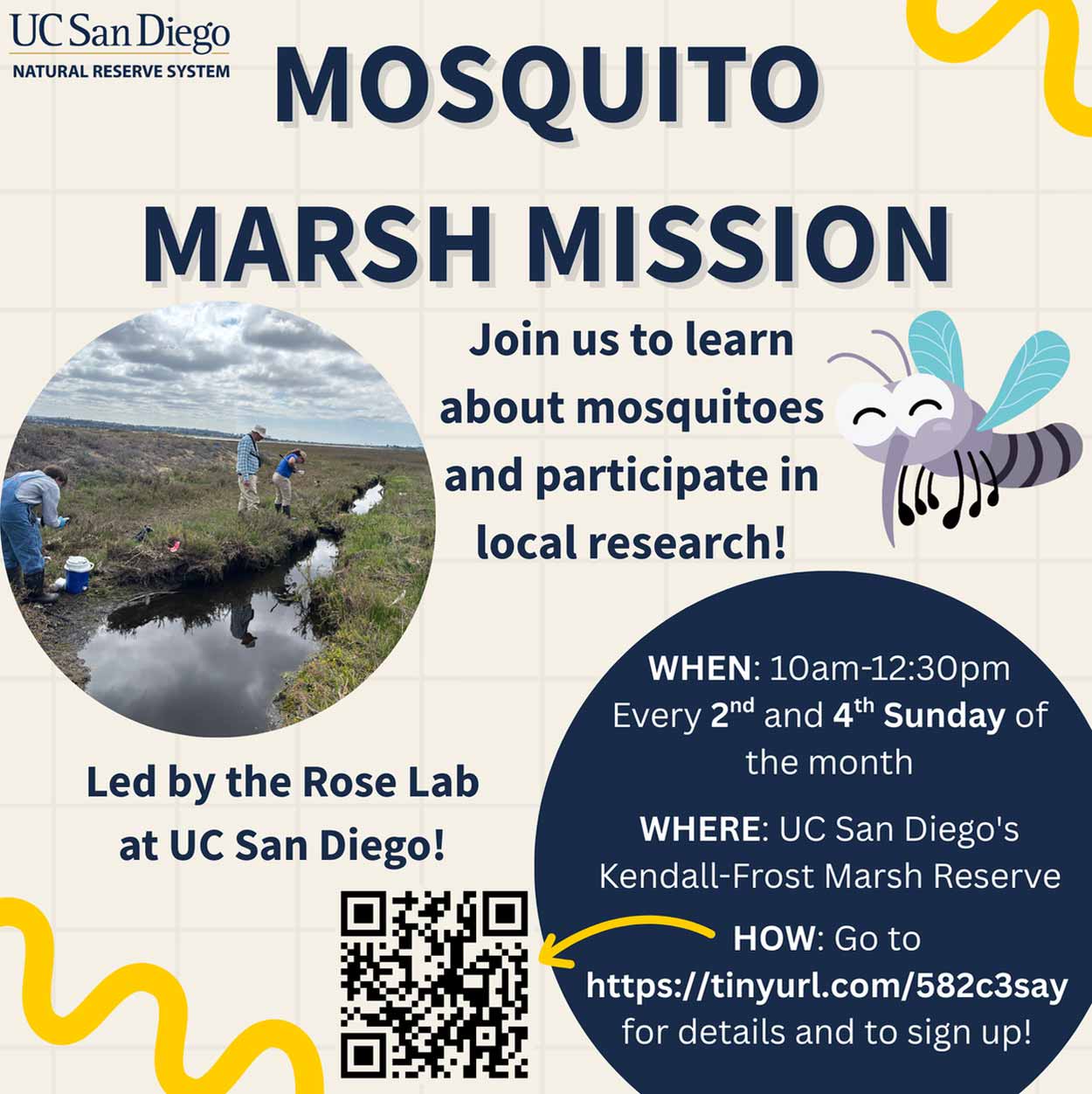 Collage of 5 students